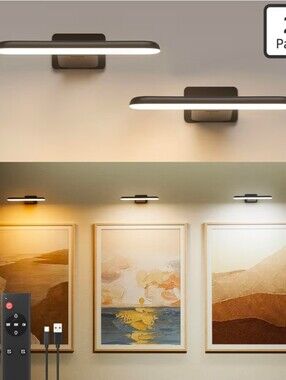 FULEN 2 Pack Picture Lights for Wall,Art Lights for Painting,Battery Operated